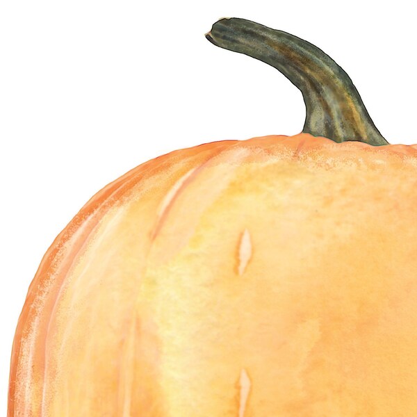 Stationery Letterhead,Big Pumpkin,PK80