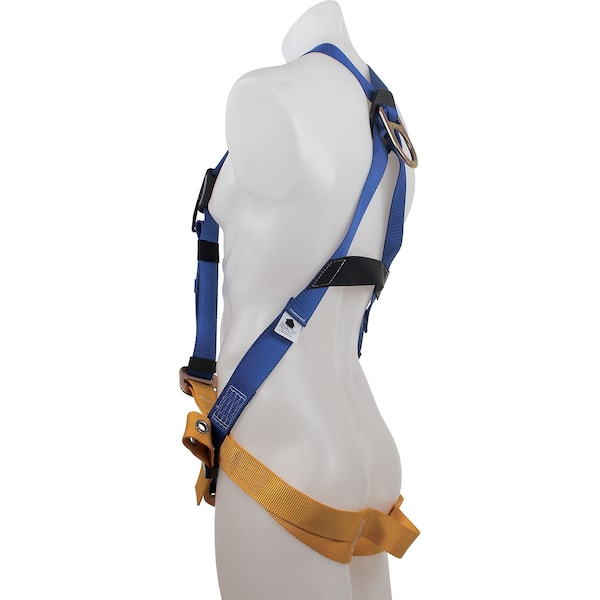 BaseWear Standard Harness,Tongue Buckle