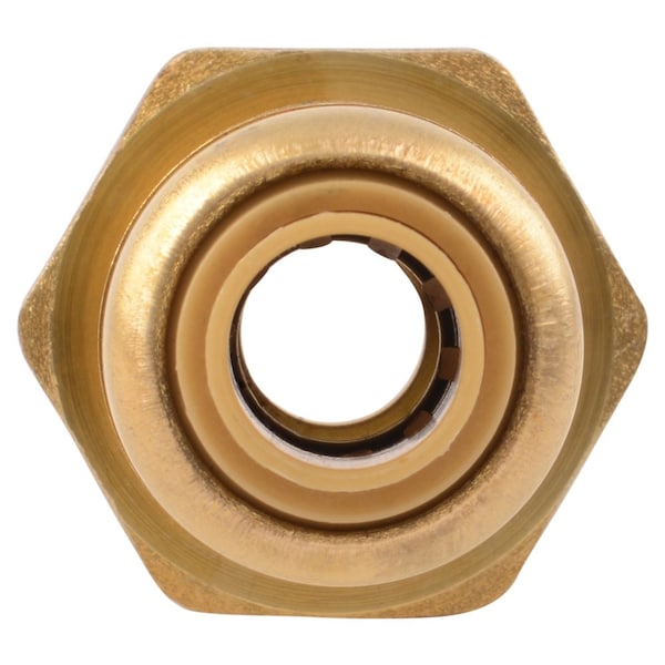 DZR Brass Male Reducing Adapter, 1/4 In Tube Size