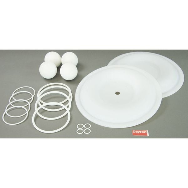 Pump Repair Kit,PTFE,Fluid,1 In.