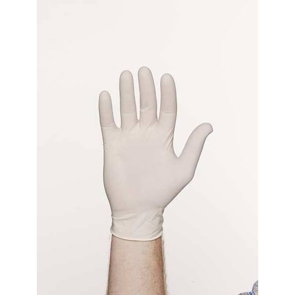 Disposable Gloves, Latex, Powdered, White, L, 100 PK