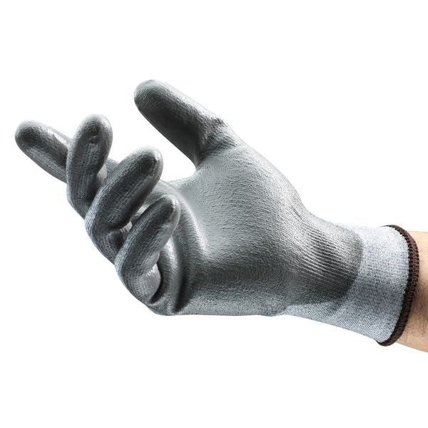 Cut Resistant Coated Gloves, A2 Cut Level, Polyurethane, XL, 1 PR