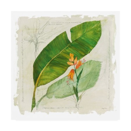 Trademark Fine Art Botanical Study I Light by Avery Tillmon, 18×18